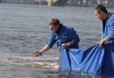 Kiev Hydropark Dolgu dinyeper çorap, Mart 22, 2017