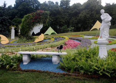 Bir karga Singing Field Blooming Hellas sergisi sırasında bir bankta oturur, Kiev, Haziran 14, 2019. 