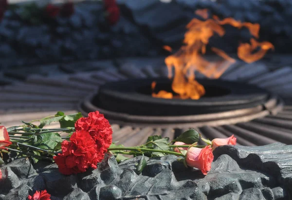 Nejlikor Och Rosor Vid Den Eviga Lågan Ceremonin Blommor Till — Stockfoto