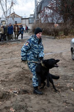 Barnaul, Rusya Federasyonu-Ekim 20, 2017.Russian polis köpeği işleyicileri tren hizmet köpekler