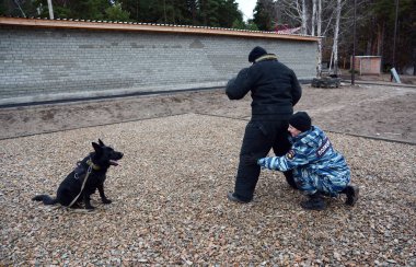 Barnaul, Rusya Federasyonu-Ekim 20, 2017.Russian polis köpeği işleyicileri tren hizmet köpekler