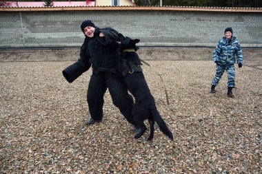 Barnaul, Rusya Federasyonu-Ekim 20, 2017.Russian polis köpeği işleyicileri tren hizmet köpekler