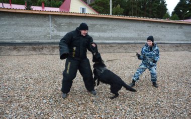 Barnaul, Rusya Federasyonu-Ekim 20, 2017.Russian polis köpeği işleyicileri tren hizmet köpekler