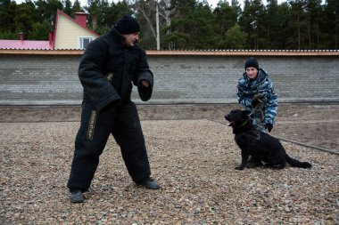 Barnaul, Rusya Federasyonu-Ekim 20, 2017.Russian polis köpeği işleyicileri tren hizmet köpekler