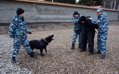 Barnaul, Rusya Federasyonu-Ekim 20, 2017.Russian polis köpeği işleyicileri tren hizmet köpekler