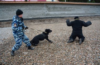 Barnaul, Rusya Federasyonu-Ekim 20, 2017.Russian polis köpeği işleyicileri tren hizmet köpekler