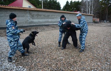 Barnaul, Rusya Federasyonu-Ekim 20, 2017.Russian polis köpeği işleyicileri tren hizmet köpekler