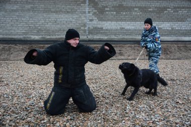 Barnaul, Rusya Federasyonu-Ekim 20, 2017.Russian polis köpeği işleyicileri tren hizmet köpekler
