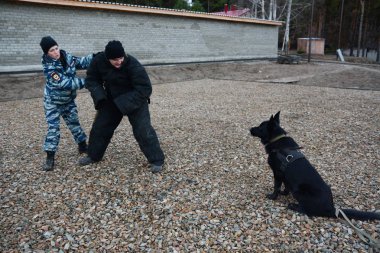 Barnaul, Rusya Federasyonu-Ekim 20, 2017.Russian polis köpeği işleyicileri tren hizmet köpekler