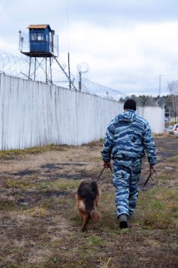 Barnaul, Rusya Federasyonu-Ekim 20, 2017.Russian polis köpeği işleyicileri tren hizmet köpekler