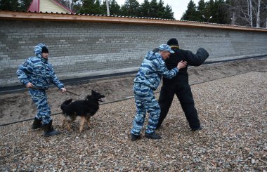 Barnaul, Rusya Federasyonu-Ekim 20, 2017.Russian polis köpeği işleyicileri tren hizmet köpekler