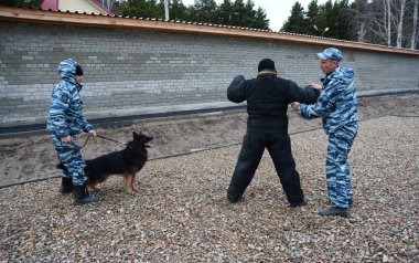 Barnaul, Rusya Federasyonu-Ekim 20, 2017.Russian polis köpeği işleyicileri tren hizmet köpekler