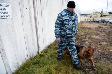 Barnaul, Rusya Federasyonu-Ekim 20, 2017.Russian polis köpeği işleyicileri tren hizmet köpekler