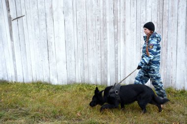 Barnaul, Rusya Federasyonu-Ekim 20, 2017.Russian polis köpeği işleyicileri tren hizmet köpekler