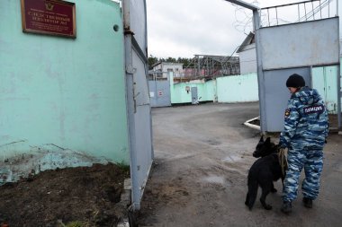 Barnaul, Rusya Federasyonu-Ekim 20, 2017.Russian polis köpeği işleyicileri tren hizmet köpekler