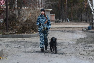 Barnaul, Rusya Federasyonu-Ekim 20, 2017.Russian polis köpeği işleyicileri tren hizmet köpekler