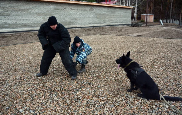 Barnaul, Rusya Federasyonu-Ekim 20, 2017.Russian polis köpeği işleyicileri tren hizmet köpekler
