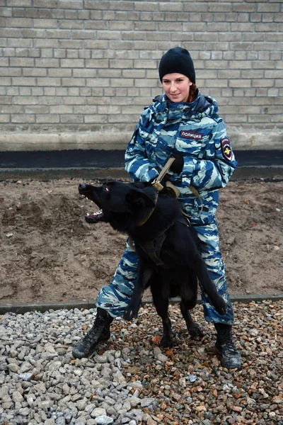 Barnaul, Rusya Federasyonu-Ekim 20, 2017.Russian polis köpeği işleyicileri tren hizmet köpekler