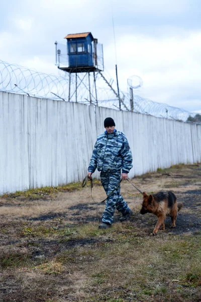 Barnaul, Rusya Federasyonu-Ekim 20, 2017.Russian polis köpeği işleyicileri tren hizmet köpekler