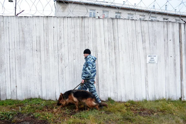 Barnaul Rusya Federasyonu Ekim 2017 Russian Polis Köpeği Işleyicileri Tren — Stok fotoğraf