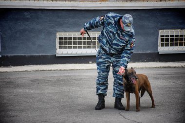 Barnaul,Rusya-Mayıs 18, 2019.Köpekleri ile polis köpek işleyicileri