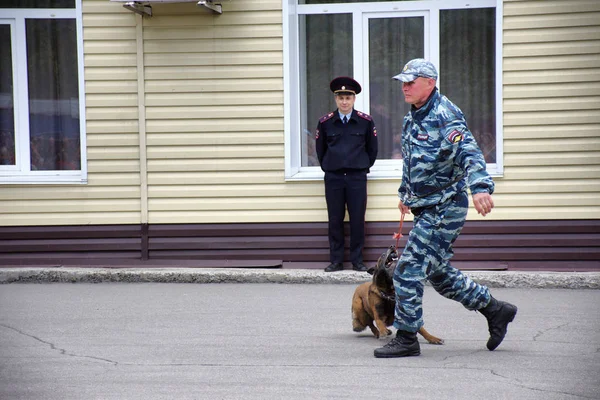 Barnaul Russie Mai 2019 Police Maîtres Chiens Avec Leurs Chiens — Photo