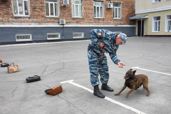 Barnaul Rusia Mayo 2019 Manipuladores Perros Policías Con Sus Perros — Foto de Stock