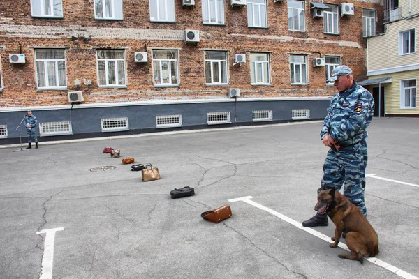 Barnaul Rusia Mayo 2019 Manipuladores Perros Policías Con Sus Perros — Foto de Stock