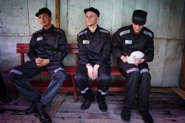 Altay Krai, Rusya-6 Eylül 2019. Mahkumlar hapishane bahçesinde bir kedi ile oynamak