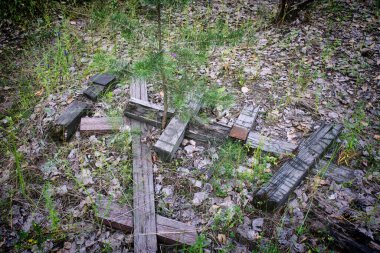Yazın Rusya 'da eski bir mezarlıkta haçlar duruyor.