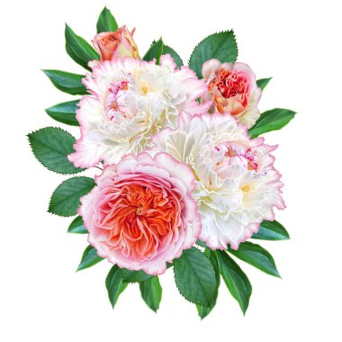 Çiçek kompozisyon. İhale beyaz pembe peonies, pastel gül, yeşil yaprakları bir buket. Beyaz arka plan üzerinde izole.