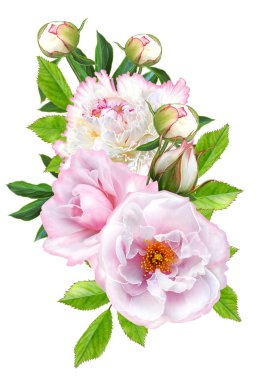 Çiçek kompozisyon. İhale beyaz pembe peonies, pastel gül, yeşil yaprakları bir buket. Beyaz arka plan üzerinde izole.