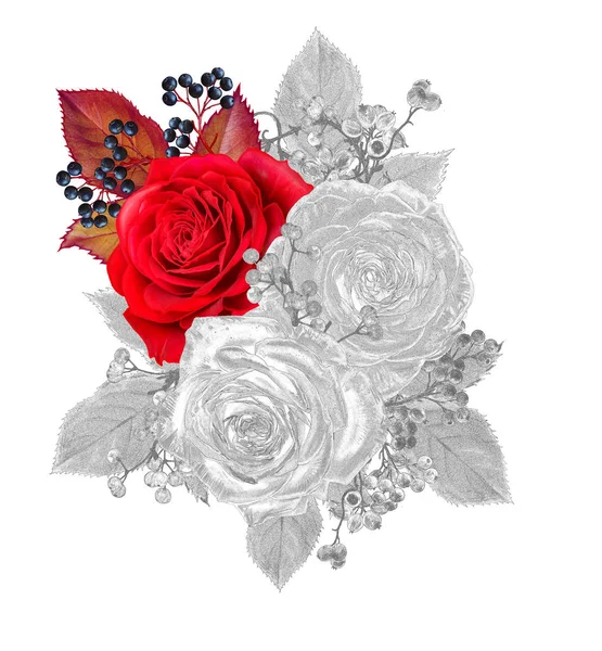 花组成 素描的元素 一束玫瑰花 — 图库照片