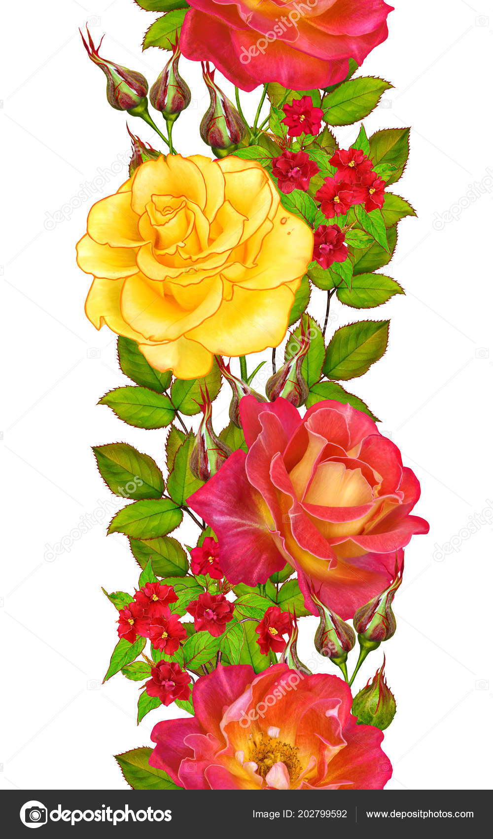 Yellow Rose Flower Border