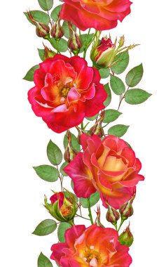 Çiçek seamless modeli. Kırmızı büyük gül, yeşil yaprakları, sarı çiçekler. Dikey kenarlık.