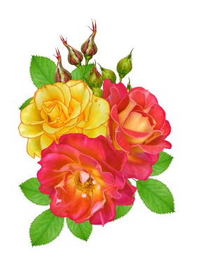Çiçek kompozisyon. Parlak güzel kırmızı sarı gül buketi, yeşil yaprakları. Beyaz arka plan üzerinde izole.