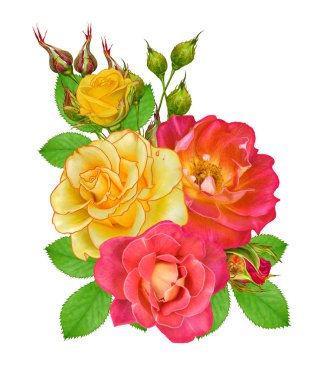 Çiçek kompozisyon. Parlak güzel kırmızı sarı gül buketi, yeşil yaprakları. Beyaz arka plan üzerinde izole.