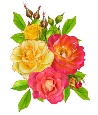 Çiçek kompozisyon. Parlak güzel kırmızı sarı gül buketi, yeşil yaprakları. Beyaz arka plan üzerinde izole.