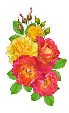 Çiçek kompozisyon. Parlak güzel kırmızı sarı gül buketi, yeşil yaprakları. Beyaz arka plan üzerinde izole.