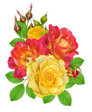 Çiçek kompozisyon. Parlak güzel kırmızı sarı gül buketi, yeşil yaprakları. Beyaz arka plan üzerinde izole.