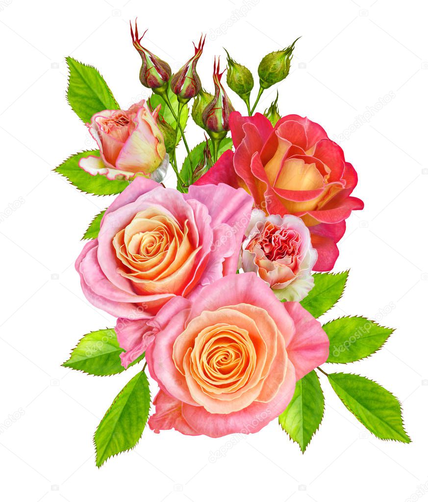 Flower composition. Bouquet of bright beautiful red yellow roses, green leaves. Isolated on white background.