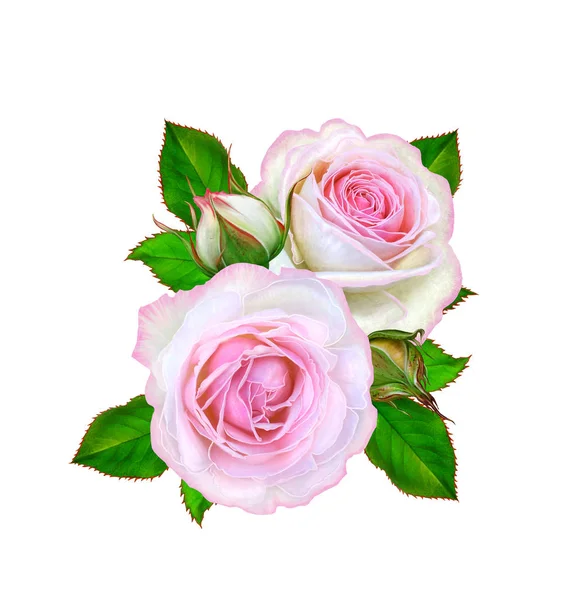 Blomma Sammansättning Bukett Delikat Rosa Rosor Knoppar Gröna Blad Isolerad — Stockfoto