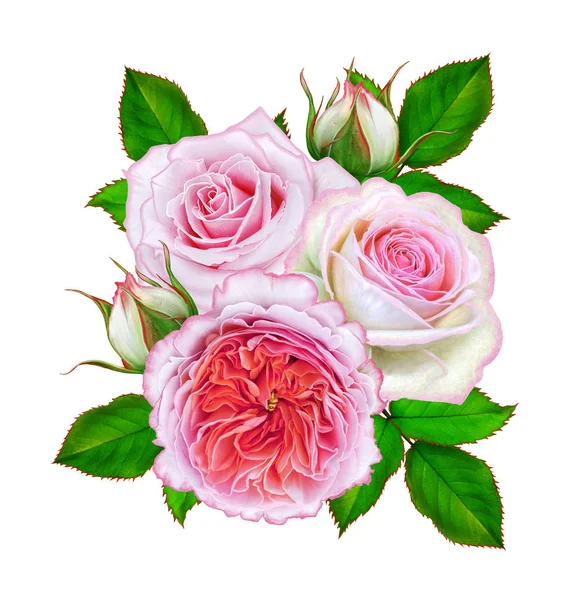 Blomma Sammansättning Bukett Delikat Rosa Rosor Knoppar Gröna Blad Isolerad — Stockfoto