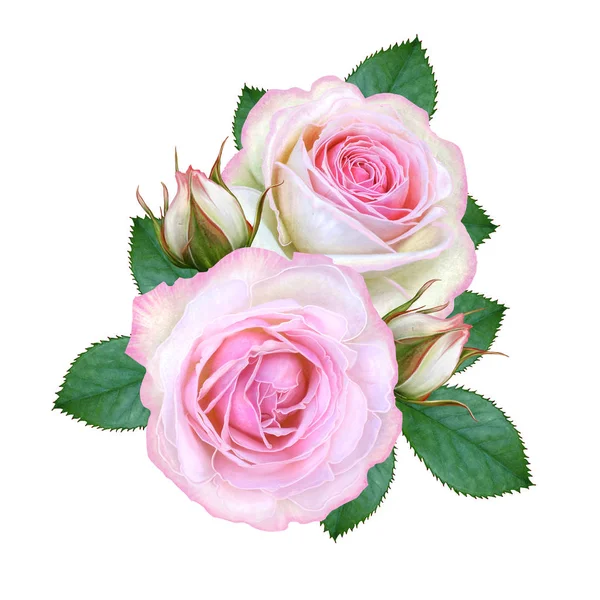 花の組成物 緑の葉 芽繊細なピンクのバラの花束 白い背景に分離 — ストック写真
