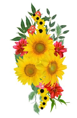 Çiçek kompozisyon. Bir buket sarı ayçiçeği, parlak koyu kırmızı çiçekler, yeşil yaprakları. Beyaz arka plan üzerinde izole.