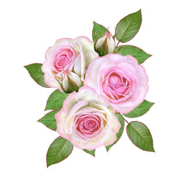 Çiçek kompozisyon. Narin pembe güller, tomurcukları, yeşil yaprakları bir buket. Beyaz arka plan üzerinde izole.