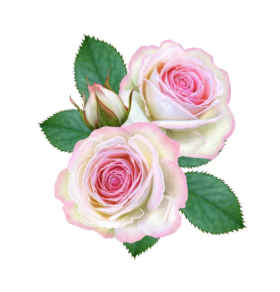 Samenstelling Van Bloem Een Boeket Van Delicate Roze Rozen Toppen — Stockfoto