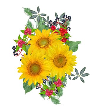 Çiçek kompozisyon. Bir buket sarı ayçiçeği, parlak koyu kırmızı çiçek, yeşil yapraklar, siyah meyveleri. Beyaz arka plan üzerinde izole.