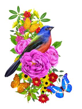 kuş parlak kırmızı çiçekler, Lila gül, yeşil yaprakları, güzel kelebekler bir kolu üzerinde oturur. Beyaz arka plan üzerinde izole. Çiçek kompozisyon.