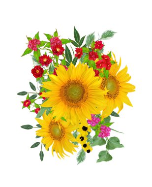 Çiçek kompozisyon. Bir buket sarı ayçiçeği, parlak koyu kırmızı çiçekler, yeşil yaprakları. Beyaz arka plan üzerinde izole.